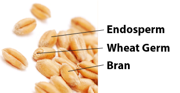 Wheat Germ